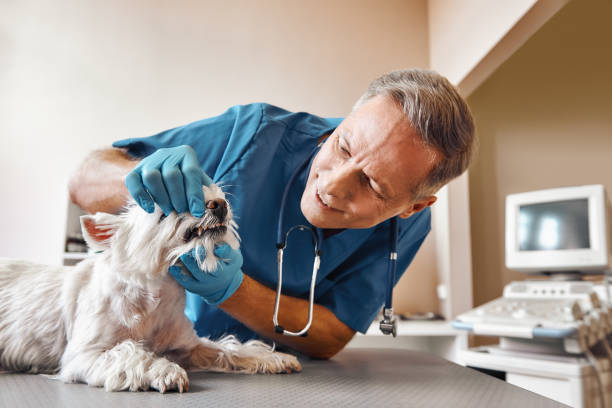Emergency Dentist Open Today in GA